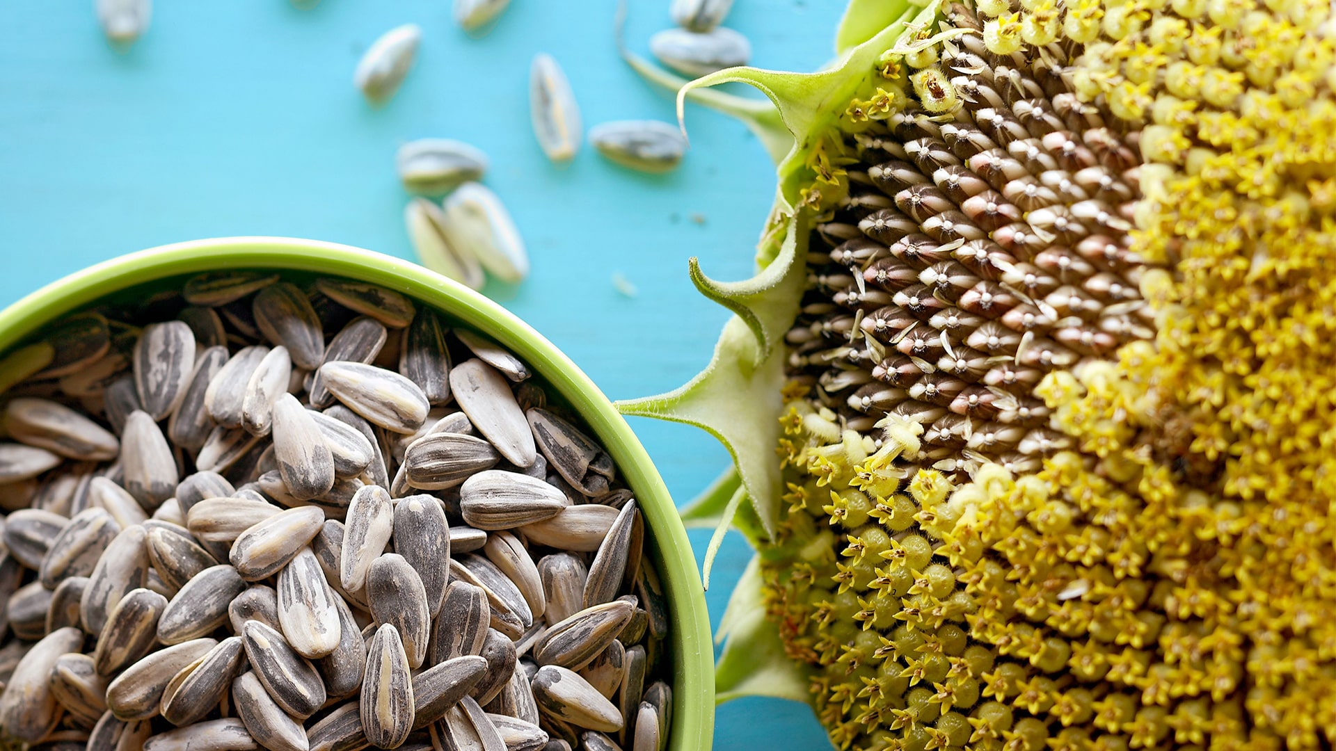 تخمه افتابگردان در رژیم کتوژنیک